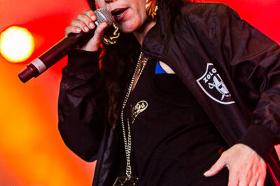 Halve Neuro @ Puurs Live 2014, picture 7, photographed by Edwin Houdevelt - FrontView Magazine