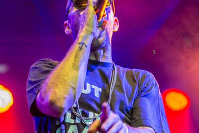 Halve Neuro @ Puurs Live 2014, picture 14, photographed by Edwin Houdevelt - FrontView Magazine