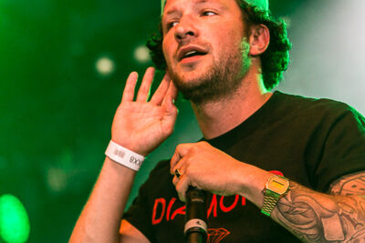 Kraantje Pappie @ Puurs Live 2014, picture 3, photographed by Edwin Houdevelt - FrontView Magazine