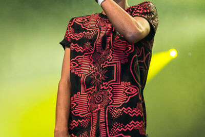 Kraantje Pappie @ Puurs Live 2014, picture 17, photographed by Edwin Houdevelt - FrontView Magazine