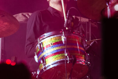 Admiral Freebee @ Puurs Live 2014, picture 40, photographed by Edwin Houdevelt - FrontView Magazine