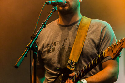 Flip Kowlier @ Puurs Live 2014, picture 5, photographed by Edwin Houdevelt - FrontView Magazine