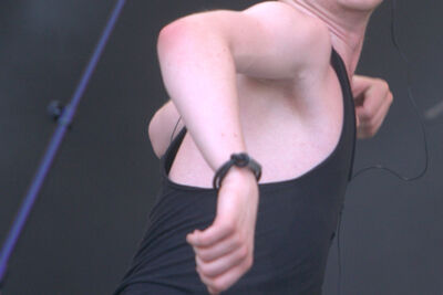 Collage (Reunion tour) Night of the Prog IX - Loreley (D), picture 3, photographed by FrontView Magazine