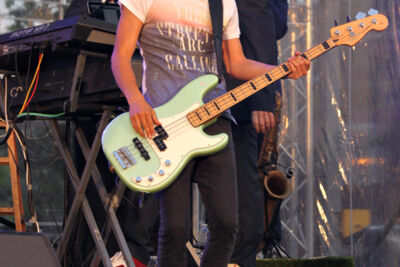 Vlaanderen Muziekland 2014 @ Lommel, picture 43, photographed by Heidi Elen - FrontView Magazine