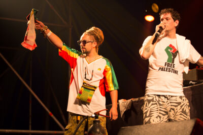 Reggae Geel Editie 2014 - Vriijdag, picture 8, photographed by FrontView Magazine