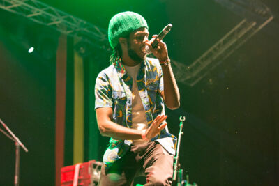 Reggae Geel Editie 2014 - Vriijdag, picture 24, photographed by FrontView Magazine