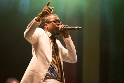 Reggae Geel Editie 2014 - Vriijdag, picture 48, photographed by FrontView Magazine