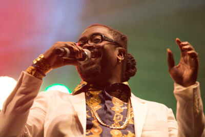 Reggae Geel Editie 2014 - Vriijdag, picture 55, photographed by FrontView Magazine