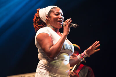 Reggae Geel Editie 2014 - Vriijdag, picture 75, photographed by FrontView Magazine