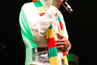 Reggae Geel Editie 2014 - Vriijdag, picture 80, photographed by FrontView Magazine