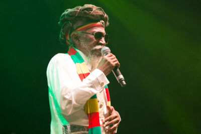 Reggae Geel Editie 2014 - Vriijdag, picture 81, photographed by FrontView Magazine