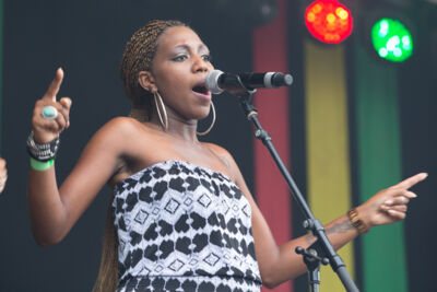 Reggae Geel editie 2014 - Zaterdag, picture 13, photographed by Stef Dierckx - FrontView Magazine