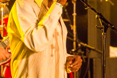 Reggae Geel editie 2014 - Zaterdag, picture 123, photographed by Stef Dierckx - FrontView Magazine