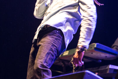 Reggae Geel editie 2014 - Zaterdag, picture 135, photographed by Stef Dierckx - FrontView Magazine