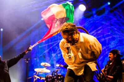 Reggae Geel editie 2014 - Zaterdag, picture 149, photographed by Stef Dierckx - FrontView Magazine