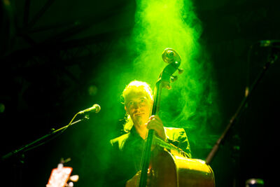 Broken Circle Breakdown Bluegrass Band Openluchttheater Rivierenhof, foto 8, foto's door Youri Vanlommel - FrontView Magazine