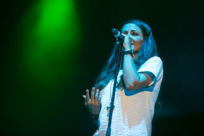 Milk Inc. @ Summer Swing, picture 14, photographed by Dimitri Vanlommel - FrontView Magazine