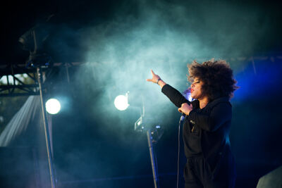 Arsenal @ Brussels Summer Festival 2014, picture 13, photographed by Magali Decamps - FrontView Magazine