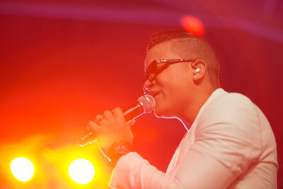 Dag 1 @ Antilliaanse Feesten 2014, picture 102, photographed by Steven Stausens - FrontView Magazine