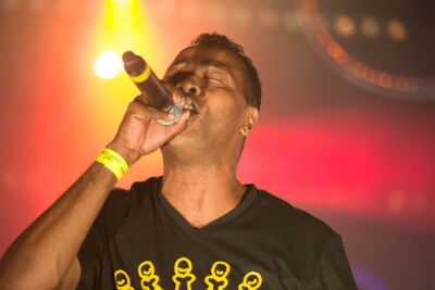 Dag 2 @ Antilliaanse Feesten 2014, picture 29, photographed by Steven Stausens - FrontView Magazine