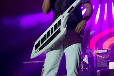 Dag 2 @ Antilliaanse Feesten 2014, picture 132, photographed by Steven Stausens - FrontView Magazine