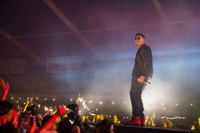 Dag 2 @ Antilliaanse Feesten 2014, picture 153, photographed by Steven Stausens - FrontView Magazine