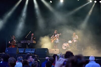 Clare Louise @ Brussels Summer Festival, picture 12, photographed by Wim Patry - FrontView Magazine