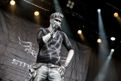 Stahlmann @ Summer Breeze 2014, picture 15, photographed by Dorien Goetschalckx - FrontView Magazine