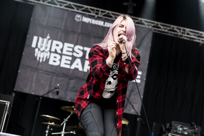 Iwrestledabearonce @ Summer Breeze 2014, picture 1, photographed by Dorien Goetschalckx - FrontView Magazine