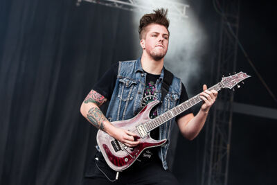 Iwrestledabearonce @ Summer Breeze 2014, picture 6, photographed by Dorien Goetschalckx - FrontView Magazine