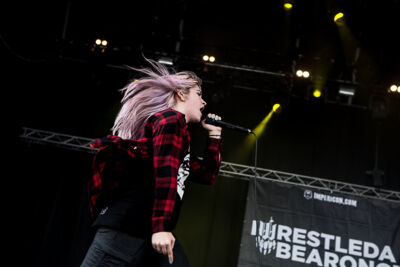 Iwrestledabearonce @ Summer Breeze 2014, picture 12, photographed by Dorien Goetschalckx - FrontView Magazine