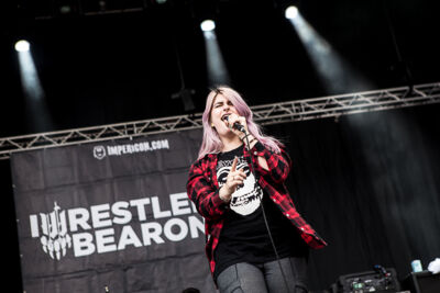 Iwrestledabearonce @ Summer Breeze 2014, picture 14, photographed by Dorien Goetschalckx - FrontView Magazine
