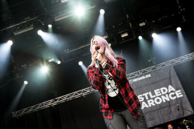 Iwrestledabearonce @ Summer Breeze 2014, picture 16, photographed by Dorien Goetschalckx - FrontView Magazine