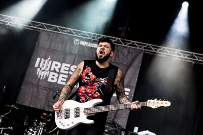 Iwrestledabearonce @ Summer Breeze 2014, picture 17, photographed by Dorien Goetschalckx - FrontView Magazine