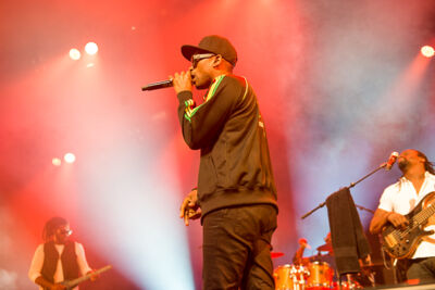 Busy Signal Feest in het park, picture 6, photographed by Youri Vanlommel - FrontView Magazine