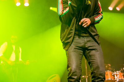 Busy Signal Feest in het park, picture 18, photographed by Youri Vanlommel - FrontView Magazine