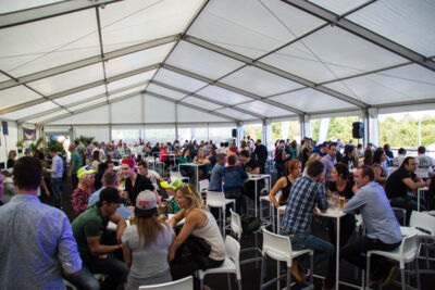 Fantasia Festival 2014 @ Hamme-Zogge, picture 48, photographed by Tom Van Tongerloo - FrontView Magazine