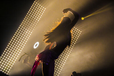 Fantasia Festival 2014 @ Hamme-Zogge, picture 91, photographed by Tom Van Tongerloo - FrontView Magazine