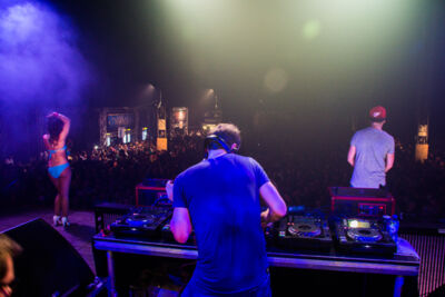 Fantasia Festival 2014 @ Hamme-Zogge, picture 194, photographed by Tom Van Tongerloo - FrontView Magazine