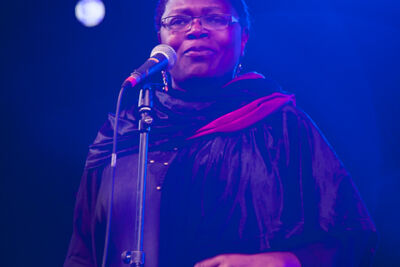 Boterhammen in het Park - dag 2 - Karavan: ArnoQuins @ Warandepark, foto 8, foto's door Alex Wyckmans - FrontView Magazine