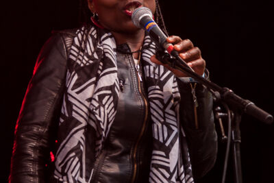 Boterhammen in het Park - dag 2 - Karavan: ArnoQuins @ Warandepark, foto 12, foto's door Alex Wyckmans - FrontView Magazine