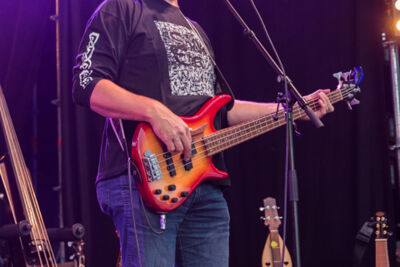 Snakes in Exile @ Boombal Lovendegem Dag 2, picture 8, photographed by Guy Danneels - FrontView Magazine