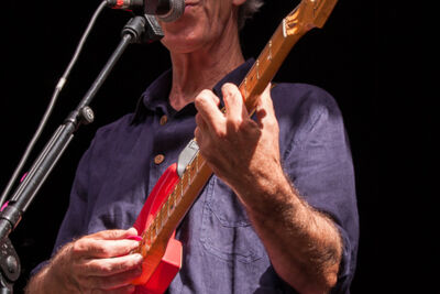 Boterhammen in het Park - Dag 5 - Raymond Van Het Groenewoud @ Warandepark, picture 2, photographed by Alex Wyckmans - FrontView Magazine