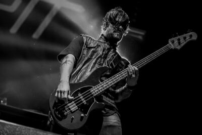 Papa Roach @ Masters@ Rock 2014, picture 9, photographed by Dorien Goetschalckx - FrontView Magazine
