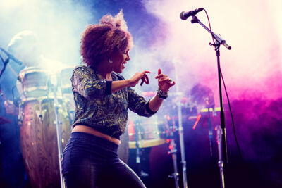 Stereo MC's @ Maanrock 2014, picture 9, photographed by Elke Briers - FrontView Magazine