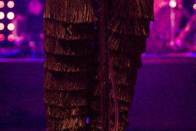 Ms. Lauryn Hill @ Crammerock 2014, picture 5, photographed by Tom Stessens - FrontView Magazine