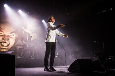 The Hives @ Crammerock 2014, picture 2, photographed by Tom Stessens - FrontView Magazine