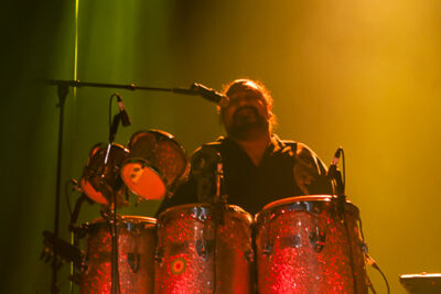 UB40 @ AB, foto 8, foto's door Alex Wyckmans - FrontView Magazine