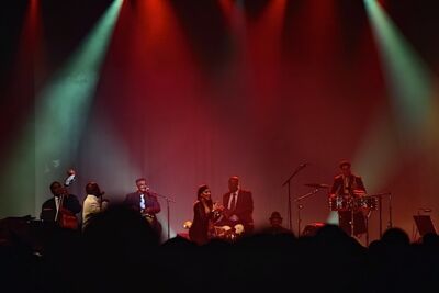Orquesta Buena Vista Social Club ® ‘Adios Tour’ @ Ancienne Belgique, picture 25, photographed by Wim Patry - FrontView Magazine