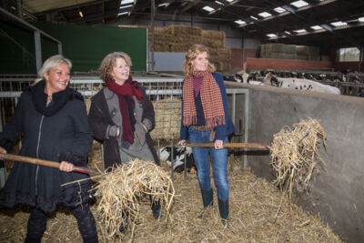 Boer zocht vrouw - Persvoorstelling @ Wuustwezel, foto 28, foto's door Guy Danneels - FrontView Magazine